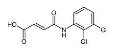 N-(2,3-DICHLOROPHENYL)MALEAMIC ACID Structure