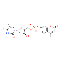 4-methylumbelliferyl thymidine 5'-phosphate picture