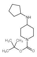 1-BOC-4-CYCLOPENTYLAMINO-PIPERIDINE picture
