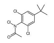 N-(4-tert-butyl-2,6-dichlorophenyl)-N-chloroacetamide Structure