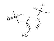 N,N-dimethyl-(5-tert-butyl-2-hydroxybenzyl)amine N-oxide结构式