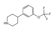 4-[3-(trifluoromethoxy)phenyl]piperidine结构式