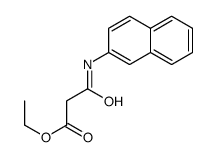 ethyl 3-(naphthalen-2-ylamino)-3-oxopropanoate结构式