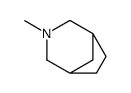 3-Azabicyclo[3.2.1]octane,3-methyl-(9CI)结构式