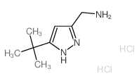 (3-tert-butyl-1H-pyrazol-5-yl)methanamine,dihydrochloride Structure