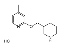 4-Methyl-2-(piperidin-3-ylmethoxy)-pyridine hydrochloride structure