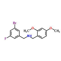1-(3-Bromo-5-fluorophenyl)-N-(2,4-dimethoxybenzyl)methanamine结构式