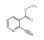 3-氰基吡啶-2-羧酸甲酯结构式