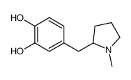1,2-Benzenediol,4-[(1-methyl-2-pyrrolidinyl)methyl]-(9CI)结构式