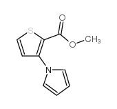3-(1-吡咯)噻吩-2-甲酸甲酯结构式