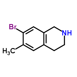 Isoquinoline, 7-bromo-1,2,3,4-tetrahydro-6-methyl- (9CI) picture