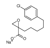 sodium,2-[5-(4-chlorophenyl)pentyl]oxirane-2-carboxylate Structure