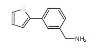 (3-THIEN-2-YLPHENYL)METHYLAMINE Structure