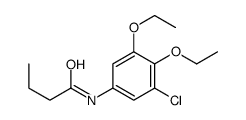 N-(3-chloro-4,5-diethoxyphenyl)butanamide结构式