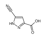 3-cyano-1H-pyrazole-5-carboxylic acid structure