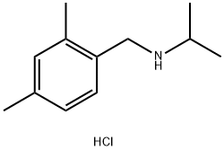 [(2,4-dimethylphenyl)methyl](propan-2-yl)amine hydrochloride picture