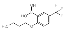 2-丁氧基-5-(三氟甲基)苯硼酸结构式