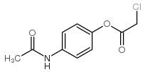 氯乙酸-4-乙酰氨基苯酯图片