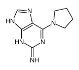 6-(PYRROLIDIN-1-YL)-9H-PURIN-2-AMINE picture