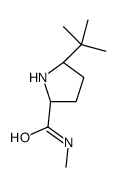 (2S)-5-tert-butyl-N-methylpyrrolidine-2-carboxamide结构式