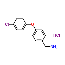 (4-(4-Chlorophenoxy)phenyl)methanamine hydrochloride Structure