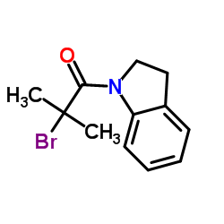 2-Bromo-1-(2,3-dihydro-1H-indol-1-yl)-2-methyl-1-propanone结构式