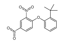 2,4-Dinitrophenyl 2-tert-butylphenyl ether structure