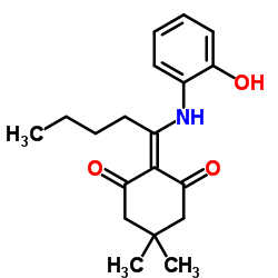 2-{1-[(2-Hydroxyphenyl)amino]pentylidene}-5,5-dimethyl-1,3-cyclohexanedione结构式