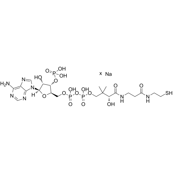 Coenzyme A sodium Structure