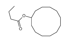 cyclododecyl butanoate结构式