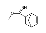 Bicyclo[2.2.1]hept-5-ene-2-carboximidic acid, methyl ester (9CI)结构式