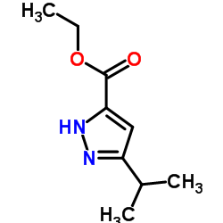 Ethyl5-isopropylpyrazole-3-carboxylate structure