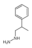 (2-PHENYLPROPYL)HYDRAZINE picture