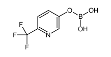 [6-(trifluoromethyl)-3-pyridyl]oxyboronic acid结构式