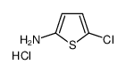 5-Chlorothiophen-2-amine hydrochloride图片