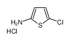 5-Chlorothiophen-2-amine hydrochloride picture