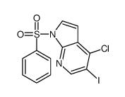 1H-Pyrrolo[2,3-b]pyridine, 4-chloro-5-iodo-1-(phenylsulfonyl)- Structure