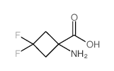 1-amino-3,3-difluoro-cyclobutanecarboxylic acid structure