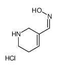 (NE)-N-(1,2,3,6-tetrahydropyridin-5-ylmethylidene)hydroxylamine,hydrochloride Structure