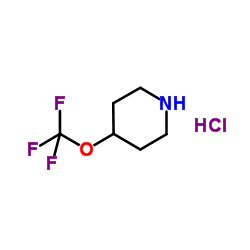 4-(trifluoromethoxy)piperidine hydrochloride structure