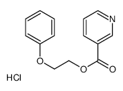 2-phenoxyethyl pyridine-3-carboxylate,hydrochloride Structure