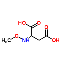 L-Aspartic acid, N-methoxy- (9CI) Structure
