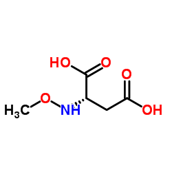 L-Aspartic acid, N-methoxy- (9CI) structure