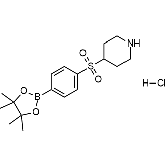 4-[4-(4,4,5,5-Tetramethyl-[1,3,2]dioxaborolan-2-yl)-benzenesulfonyl]piperidine hydrochloride Structure