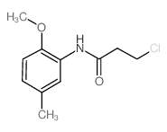 3-Chloro-N-(2-methoxy-5-methylphenyl)propanamide结构式