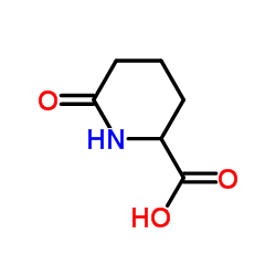 6-Oxo-2-piperidinecarboxylic acid Structure