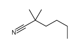 2,2-Dimethylhexanenitrile picture