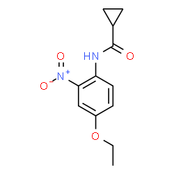 Cyclopropanecarboxamide, N-(4-ethoxy-2-nitrophenyl)- (9CI)结构式