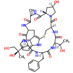 (14R,18S,20S,23S,28S,31S,34R)-31-Benzyl-28-[(2R)-2,3-dihydroxy-2-methylpropyl]-18-hydroxy-34-[(1S)-1-hydroxyethyl]-23-methyl-12-thia-10,16,22,25,27,30,33,36-octaazapentacyclo[12.11.11.03,11.04,9.016,20]hexatriaconta-3(11),4,6,8-tetraene-15,21,24,26,29,32,35-heptone Structure