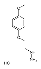 [2-(4-methoxyphenoxy)ethylamino]azanium,chloride结构式